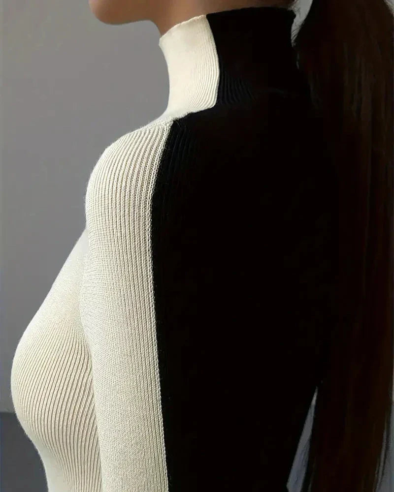 Pulover Col Roulé Bicolor Din Tricot